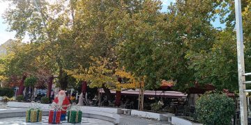 Το πράσινο της Κομοτηνής και η κακομεταχείριση των δέντρων στην Αλεξανδρούπολη