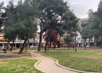 Ανάμεσα στα δέντρα: Μια δράση γεμάτη χρώμα στο πάρκο Ανατολικής Θράκης