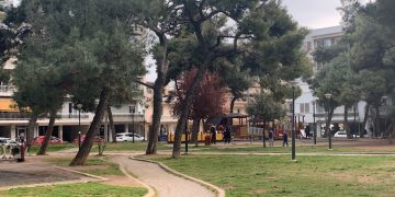 Ανάμεσα στα δέντρα: Μια δράση γεμάτη χρώμα στο πάρκο Ανατολικής Θράκης