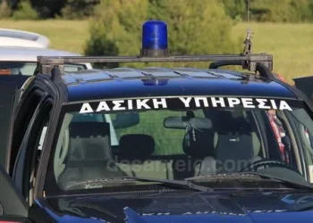 79 θέσεις Δασοφυλάκων στην Προκήρυξη 8K/2024 του ΑΣΕΠ