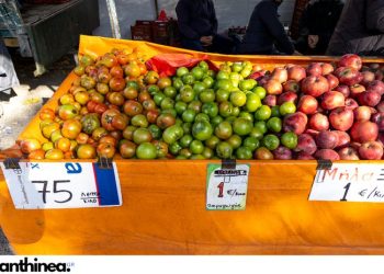 Το Σάββατο ξεκινά τη λειτουργία της η 2η λαϊκή αγορά στην Αλεξανδρούπολη