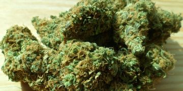 12 άτομα συνελήφθησαν σε Ανατολική Μακεδονία & Θράκη στο πλαίσιο δράσεων για την καταπολέμηση των ναρκωτικών