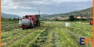 Παραγωγοί μηδικής δηλώνουν αποθηκευμένα δέματα λόγω καραντίνας.