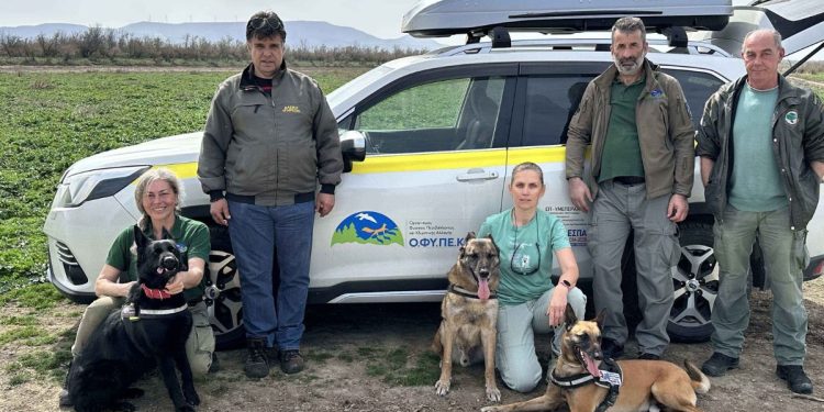 Μέλη της Ειδικής Μονάδας Ανίχνευσης Δηλητηριασμένων Δολωμάτων σε περιπολία στον Έβρο.