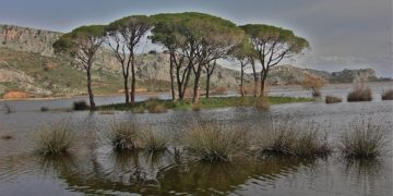 ΠΑΣΟΚ – Κίνημα Αλλαγής καταγγέλλει την αυθαίρετη δόμηση και καταπάτηση στη Στροφυλιά, παρά τις επανειλημμένες δικαστικές αποφάσεις και την αδράνεια της κυβέρνησης.