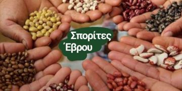 13η Εκδήλωση Παραδοσιακών Ποικιλιών στην Αλεξανδρούπολη