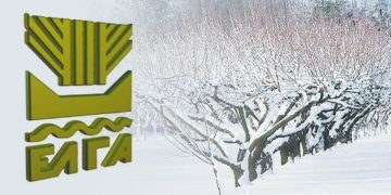 Υποβολή δηλώσεων ζημιών για καλλιέργειες που επλήγησαν από παγετό στις 20 Μαρτίου 2025 έως και τις 4 Απριλίου 2025.