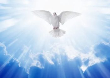 Εμπορικά καταστήματα κλειστά στην Αλεξανδρούπολη λόγω αργίας Αγίου Πνεύματος