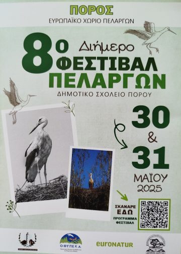 Πελαργός – 8ο Φεστιβάλ Πελαργών στον Πόρο Φερών 