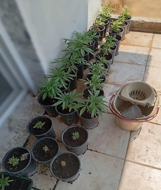 Σύλληψη για διακίνηση ναρκωτικών και λαθρεμπορίου στην Ξάνθη