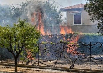 Ιστορική Καταδίκη της Ηγεσίας της Πυροσβεστικής για το Μάτι