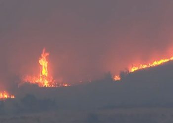Υψηλός Κίνδυνος Πυρκαγιάς – Απαγόρευση σε Δασικές Περιοχές