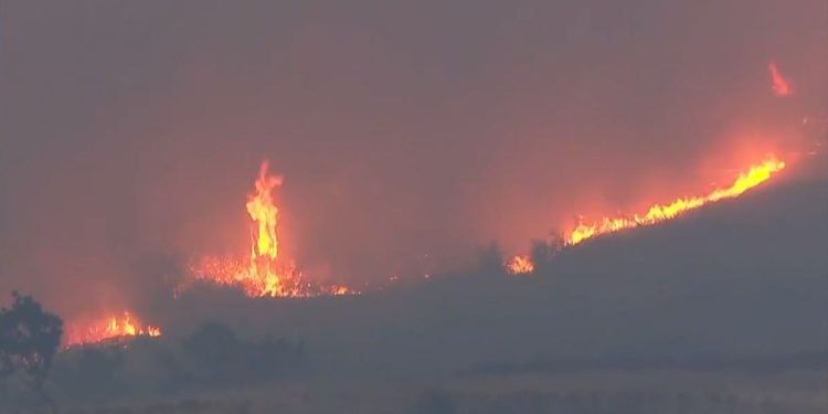 Υψηλός Κίνδυνος Πυρκαγιάς – Απαγόρευση σε Δασικές Περιοχές