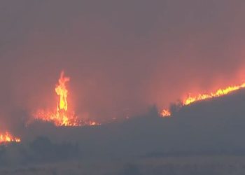 Απαγόρευση κυκλοφορίας σε δασικές περιοχές του Έβρου λόγω υψηλού κινδύνου πυρκαγιάς στις 16 Ιουλίου 2025.