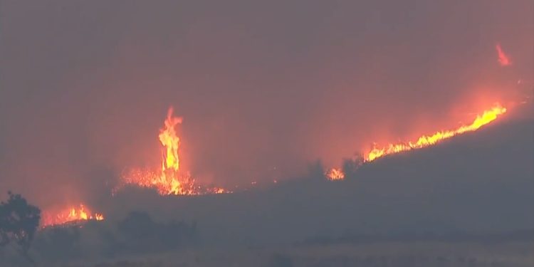 Απαγόρευση Κυκλοφορίας σε Δάση