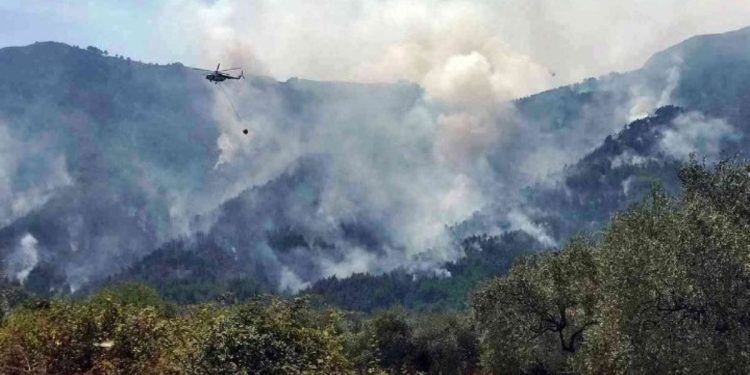 Ανεξέλεγκτη Πυρκαγιά στην Εύβοια: Στάχτη η Κεντρική Ενδοχώρα