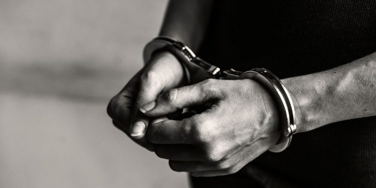 άνω από 24 κιλά κάνναβης και δενδρύλλια κατασχέθηκαν στον Έβρο μετά από αστυνομική επιχείρηση