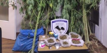 Συλλήψεις για ναρκωτικά σε Έβρο και Θεσσαλονίκη