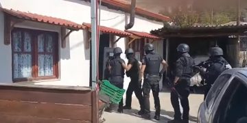 Ελεύθερος με όρους ο 62χρονος για παράνομη υλοτομία