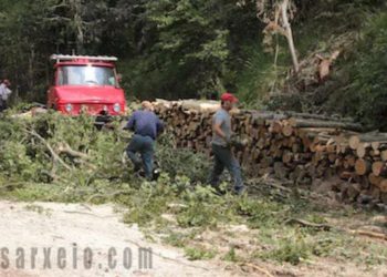 Δασεργάτες ενάντια στο νέο νόμο διαχείρισης δασών