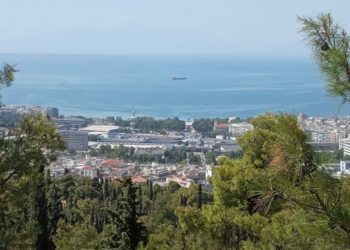 Σέιχ Σου: Ένα δάσος σε εξέλιξη
