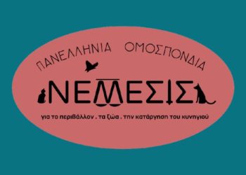 ΜΟΥΣΙΚΗ ΜΕ ΜΗΝΥΜΑ