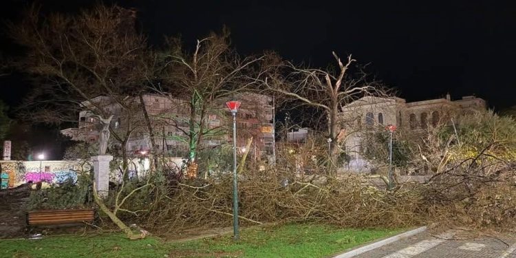 Αλεξανδρούπολη: “Σάρωσαν” την πόλη άνεμοι 140 χλμ/ώρα – Μεγάλες ζημιές και κινητοποίηση των Αρχών