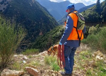 Εθνική Δράση κατά των Δηλητηριασμένων Δολωμάτων