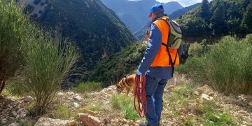 Εθνική Δράση κατά των Δηλητηριασμένων Δολωμάτων