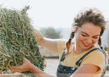 Τρεις προφυλακίστηκαν και τρεις τέθηκαν σε κατ’ οίκον περιορισμό στη Βόρεια Ελλάδα.