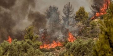 Δύο νέες συλλήψεις για πυρκαγιές από αμέλεια