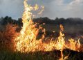Φωτιά σε αγροτοδασική περιοχή της Ροδόπης