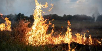 Φωτιά σε αγροτοδασική περιοχή της Ροδόπης