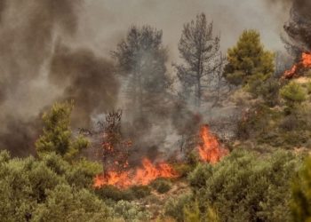 Φωτιά στη Λευκίμμη Σουφλίου