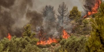 Φωτιά στη Λευκίμμη Σουφλίου