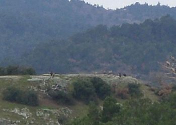 2,96 δισ. ευρώ ο σχεδιασμός για τον Έβρο