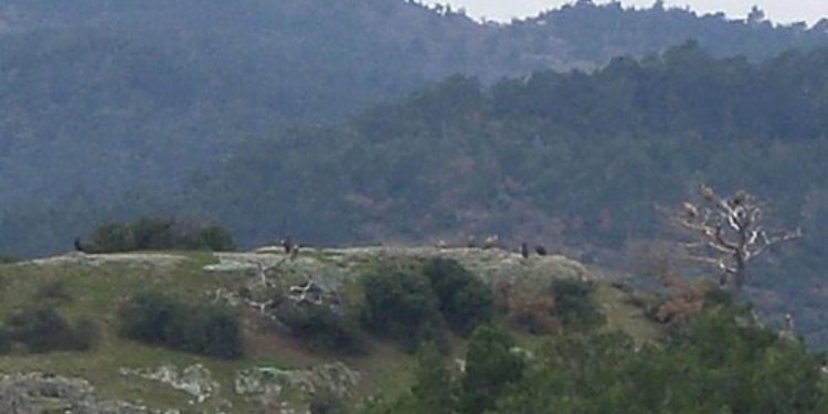 2,96 δισ. ευρώ ο σχεδιασμός για τον Έβρο