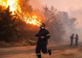 Έβρος: Υψηλός κίνδυνος πυρκαγιάς – Σε ισχύ απαγόρευση κυκλοφορίας