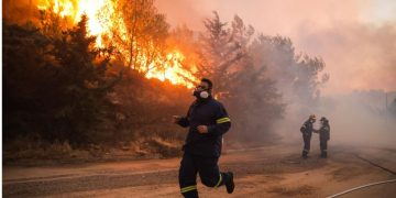 Έβρος: Υψηλός κίνδυνος πυρκαγιάς – Σε ισχύ απαγόρευση κυκλοφορίας