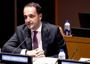 Ο Χρήστος Δερμεντζόπουλος στην εκδήλωση Ελλάδας–Ινδίας στον ΟΗΕ
