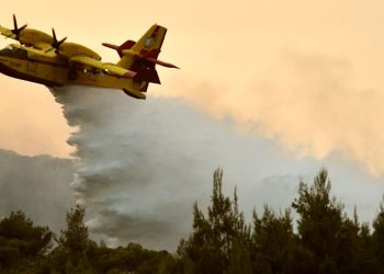 Υψηλός κίνδυνος πυρκαγιάς στον Έβρο